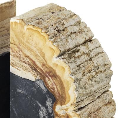 Bookend Opia petrified wood set of 2