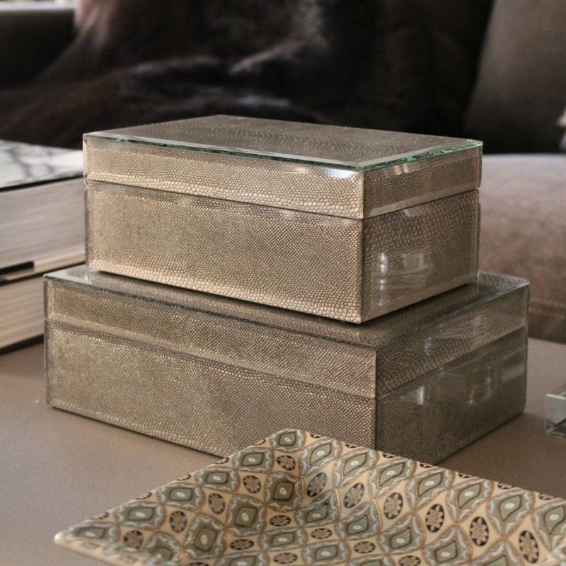 BOXグラスリザード