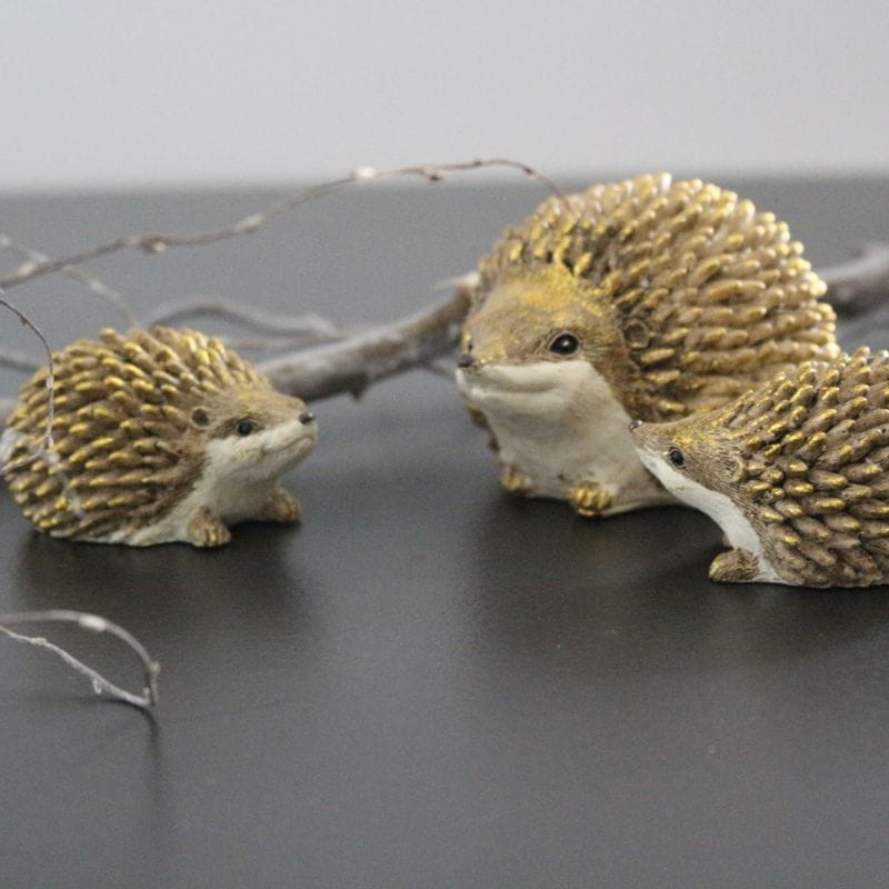 グリッターヘッジホッグ(ハリネズミ）