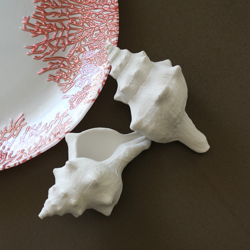 デコラシオンコキヤージュブラン12.5