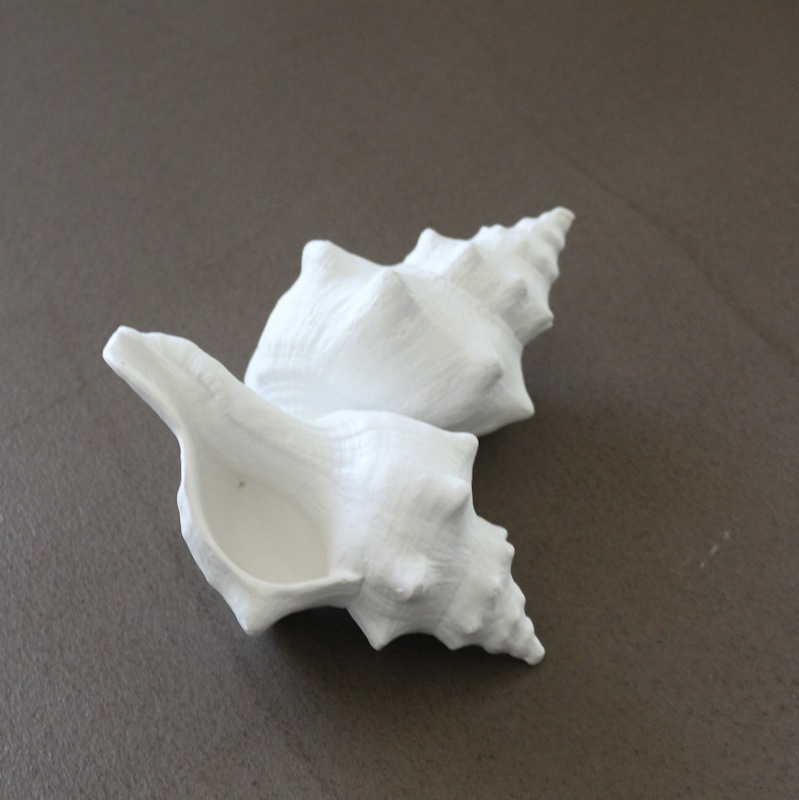 デコラシオンコキヤージュブラン12.5