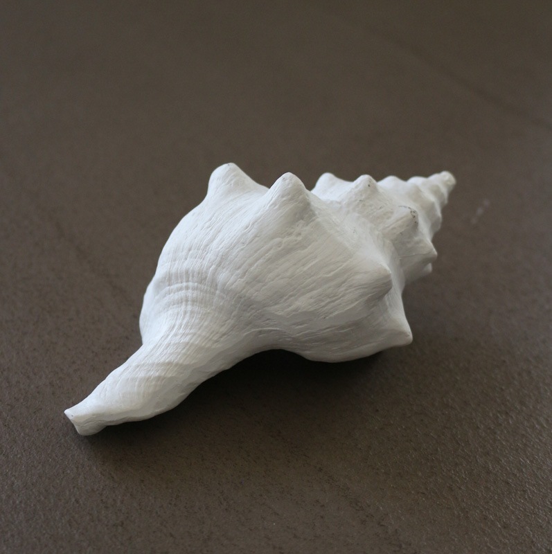 デコラシオンコキヤージュブラン12.5