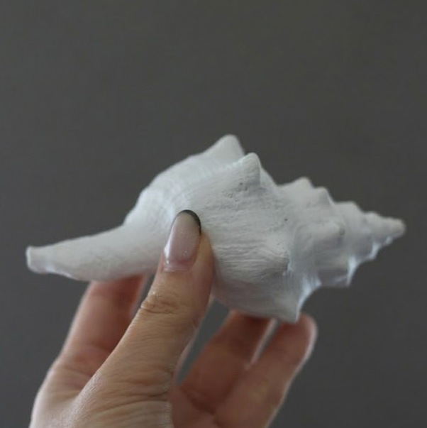 デコラシオンコキヤージュブラン12.5