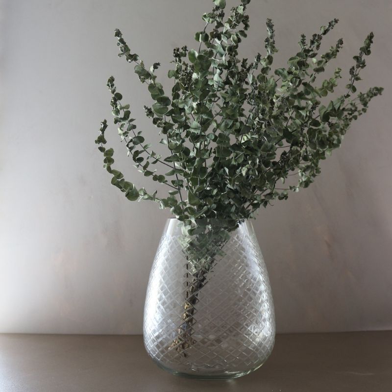 ベースキャロルクリア２５