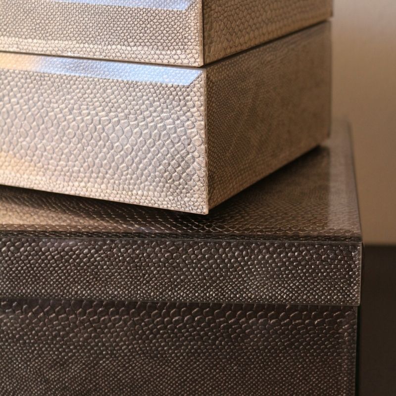 BOXグラスリザード