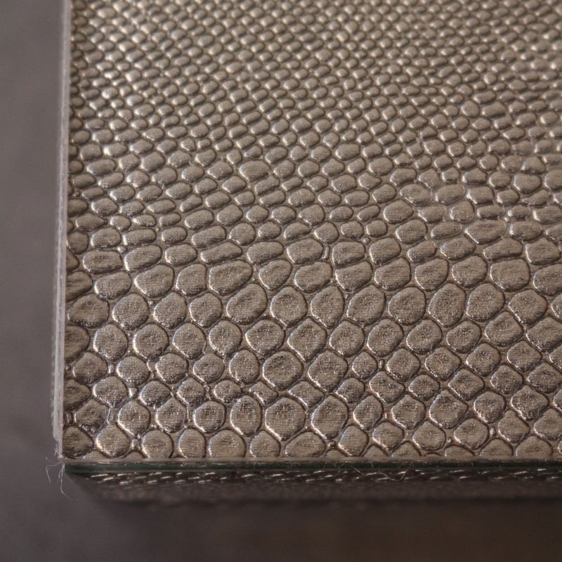 BOXグラスリザード