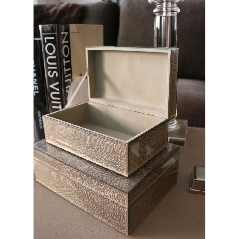 BOXグラスリザード