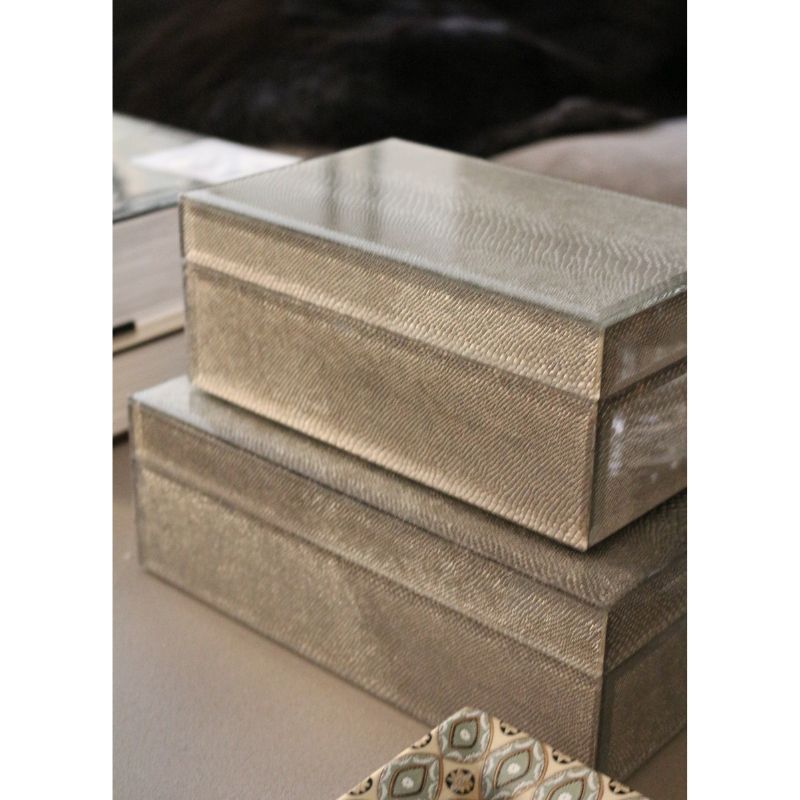 BOXグラスリザード