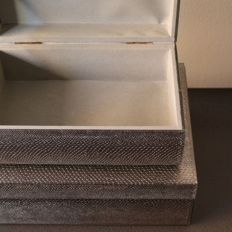 BOXグラスリザード