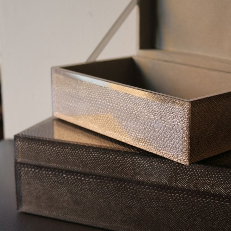 BOXグラスリザード