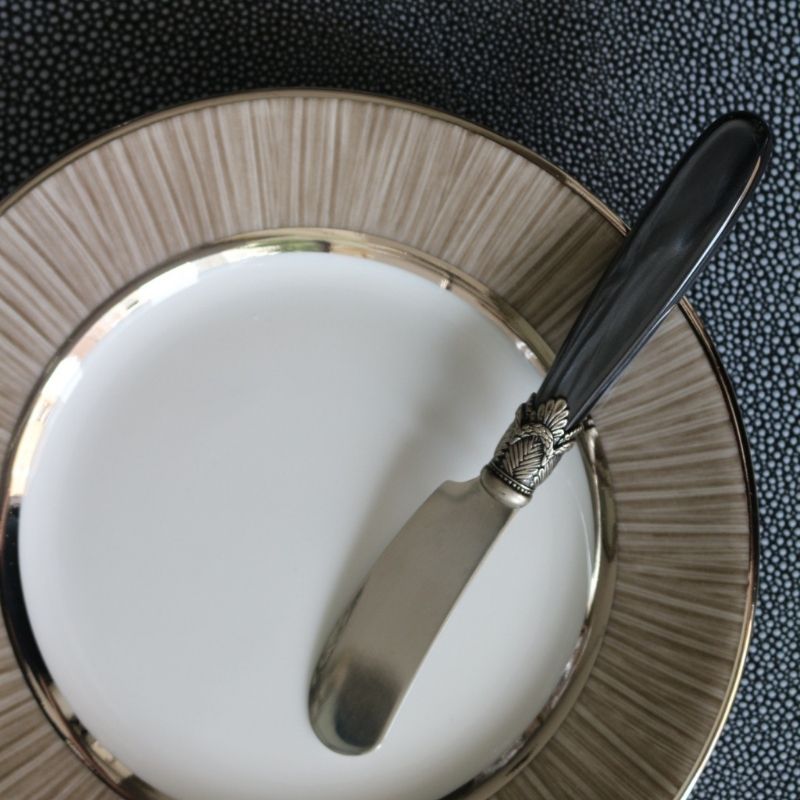 リモージュ パンプレートCARBON16.5