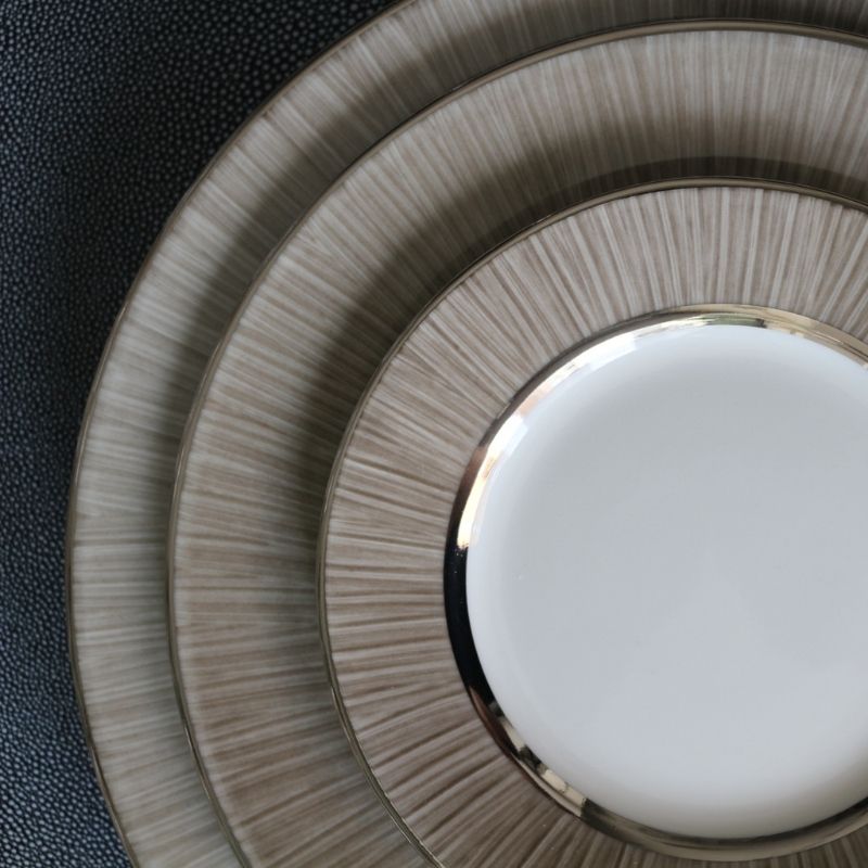 リモージュ パンプレートCARBON16.5