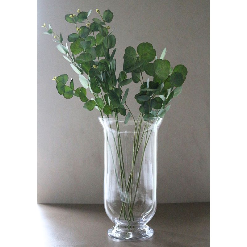 ユーカリプタス６５