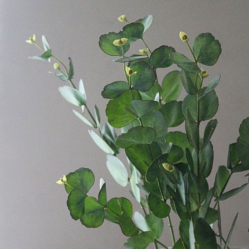 ユーカリプタス７３