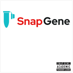 ڥǥߥåǡSnapGene8 ³饤