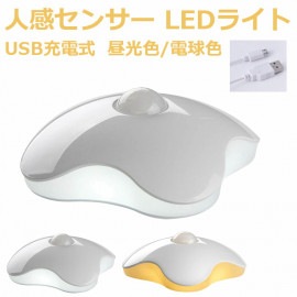 �ʹ����󥵡� LED�饤�� USB���ż� 3M�ơ��� Ǵ����� ������ �ʥ��ȥ饤�� ���� ���� ���������å� ���� �ۥ磻�� �����/�ŵ忧