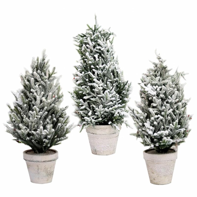 ꥹޥý ꥹޥĥ꡼ ܥåĥ꡼ ̲ ܤä  60cm