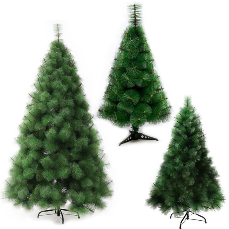 ꥹޥĥ꡼  ߥ˥ĥ꡼ ꥹޥ ʥ ̲  ץ쥼 60cm