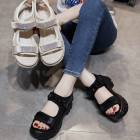 ������� ��ǥ����� ���� �⤭�䤹�� �ҡ���5cm ���ʤ� ���ݡ��� �͵� ���ݥ��� �饤�� ������ ���� �� �����ȥɥ� ��