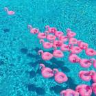 �ե�ߥ� �⤭�� �ɥ�� ���å� �ۥ���� ���ɥ�󥯥ۥ���� 6�ĥѥå� �����������ɥ�󥯥ۥ���� �ե����ƥ��󥰥��åץۥ���� �ס��� ���٥�� �ѡ��ƥ��� �ס��� ���� ������ ͷ�� ���� ������� ͷ�� �İ��� ��� ����Ϥ�� �Х� ����̵��