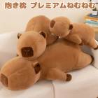 ������ �ץ�ߥ���ͤ�ͤ� ���˥ޥ륺 ���ԥХ� �̤������ �դ�դ� ������ �̤������ �����ޤ��� �ץ쥼���