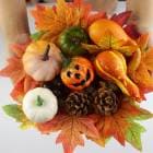 ϥ  ܥ ʪ ϥ 166/128/70å ܤ  ꥻå   ʪ ƻ ʥ պ ˤ Ѥܤ Ź ƾʪ ϥ ܤ