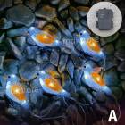 LED����ߥ͡������饤�� ���ȥ�󥰥饤�� ���Ӽ� �����ǥ�饤�� ������� ���襤�������� �ɿ� ����ƥꥢ ����Ļ ưʪ���ֱ� �� �����ǥ� �ǥ��졼�����饤�� ���ȥ�󥰥饤�� ����饤��