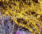 ��2�ĥ��åȡ�LED����ߥ͡������饤�� 100�� 10m ����ƥꥢ�饤�� ���ȥ�󥰥饤�� ���ꥹ�ޥ� ���� �ɿ� �����б� 8�������ѥ�����