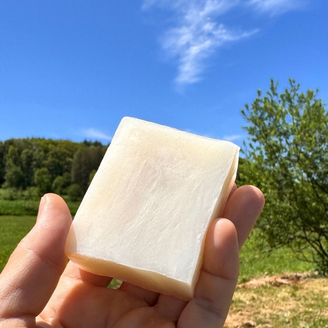 シャンプー danbo ナチュラル シャンプー 290ml – DENIS toB