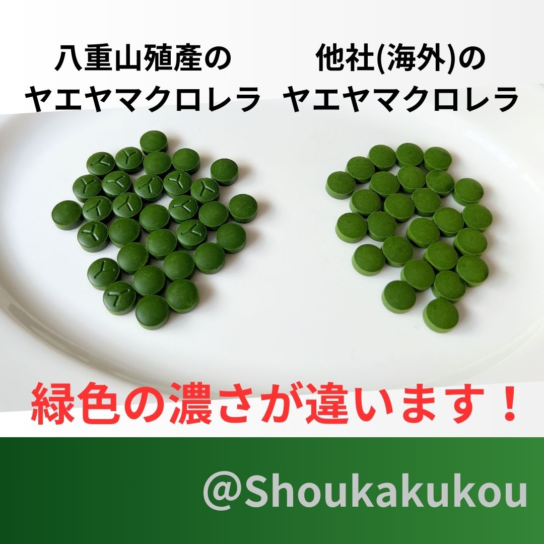 楽天市場】＼エントリーでP5倍！スーパーSALE 30%OFF
