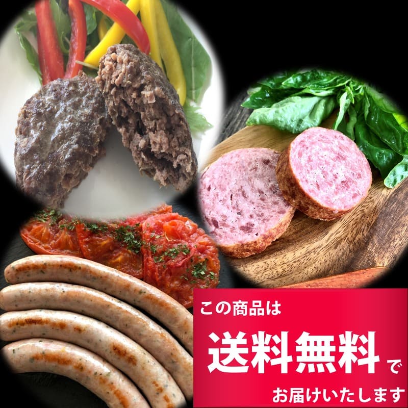 ������̵����3�糧�åȡۡڥե��åȥͥ��С����ۡߡ�10P�ˡ��ڥե��åȥͥ�����������Pro�ۡߡ�10P�ˡ��ڥ��⡼������ ���ڥ��ơ����ۡߡ�10P�˥��åȡ������