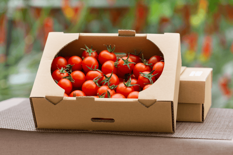 [うれし野トマト] エンジェルトマト １kg 箱