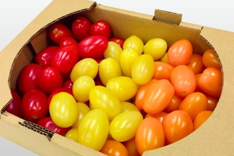 [うれし野トマト] ハピネストマト（3色入り） １kg 箱