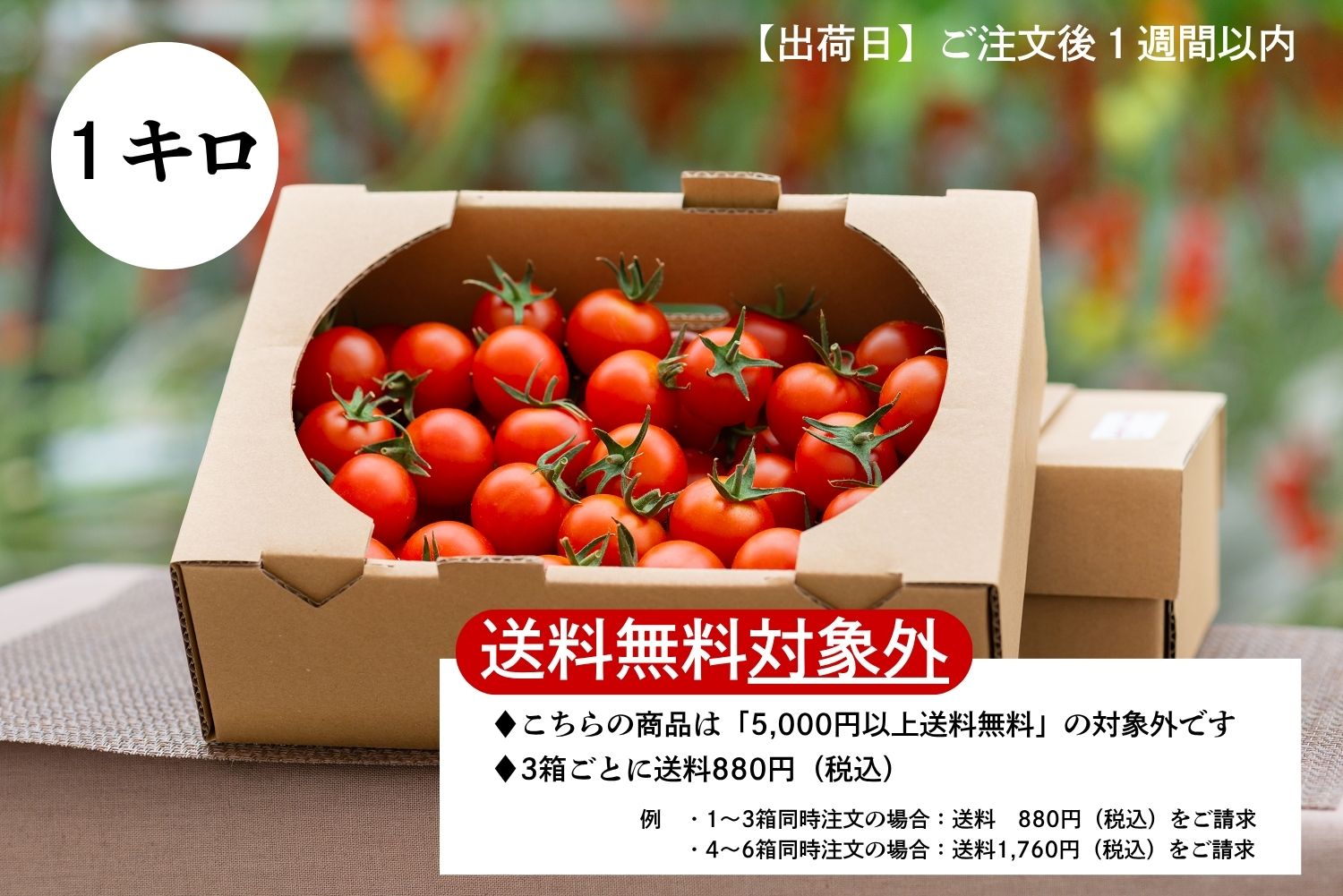[うれし野トマト] エンジェルトマト １kg 箱