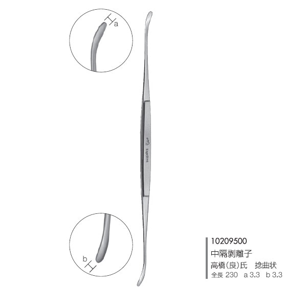 RM　中　剥離 永島医科 中隔剥離子 高橋氏