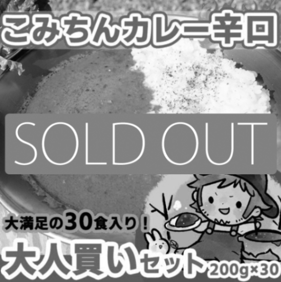 直筆サイン入り【30食入り】こみちんカレー辛口大人買いセット<br>2024年7月中旬発送分