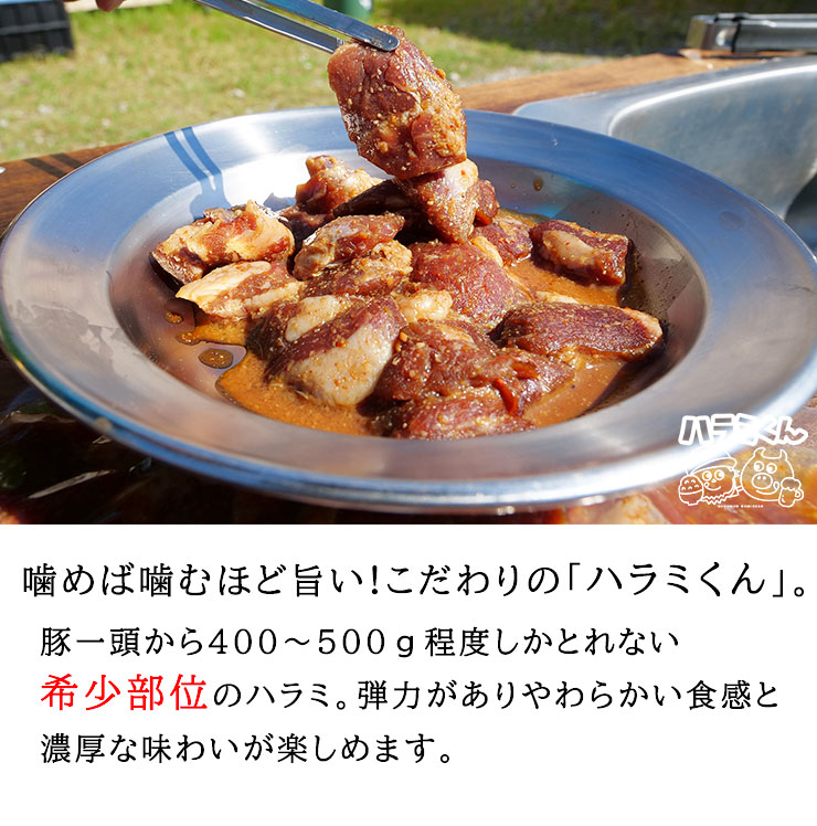 【得】感謝祭!ハラミくん<br>2025年5月1次発送分