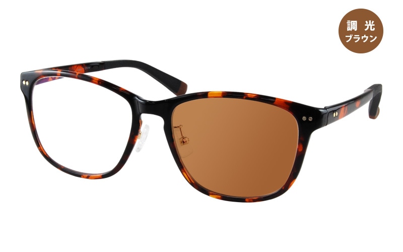 LightM UVサングラス-04-5（調光）|商品検索