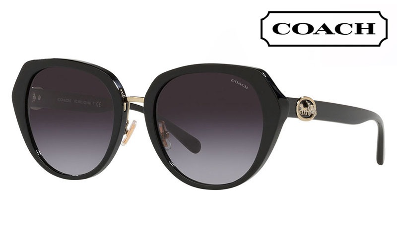 HC8331 50028G 55 コーチ COACH サングラス ラウンド セル レディース|商品検索