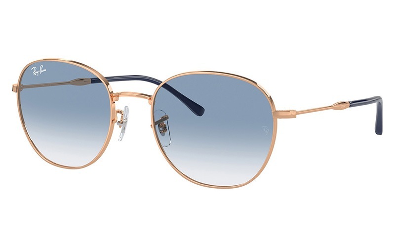 暑中見舞いセール！新品超希少品！レイバン　ポラライズド サングラス　RB3023 レイバン RB2132F ニューウェイファーラー 901/3F ブラック(ブラック