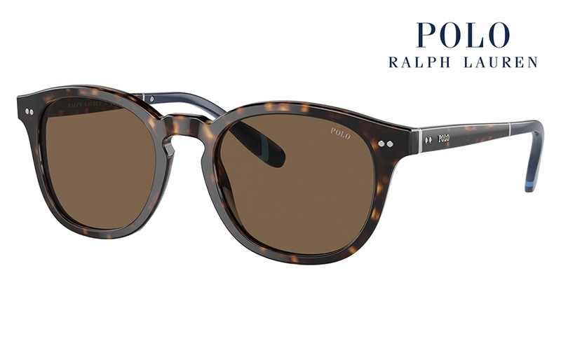 PH4206F 500373 52 POLO RALPH LAUREN ポロ ラルフローレン サングラス パントス ボストン フルフィットモデル|商品検索