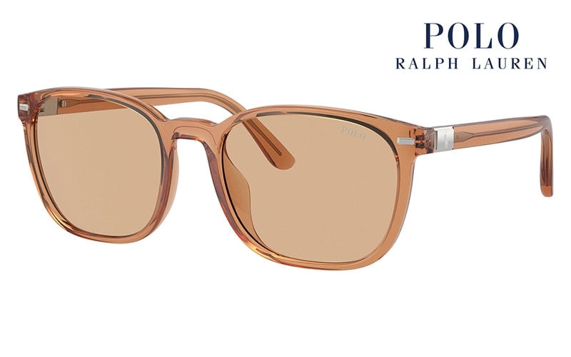 PH4208U 604873 55 POLO RALPH LAUREN ポロ ラルフローレン サングラス