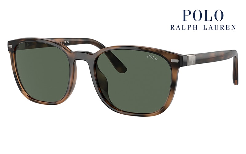 PH4208U 597471 55 POLO RALPH LAUREN ポロ ラルフローレン サングラス ウェリントン スクエア ユニバーサルフィット|商品検索