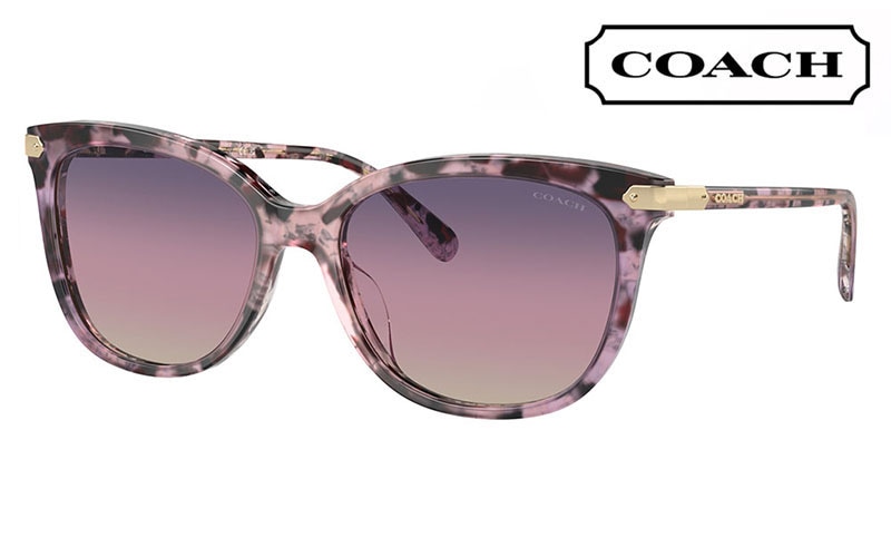 HC8378U 5777U6 57 コーチ COACH サングラス キャットアイ セル ユニバーサルフィット レディース