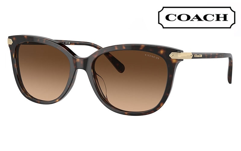 HC8378U 512074 57 コーチ COACH サングラス キャットアイ セル ユニバーサルフィット レディース