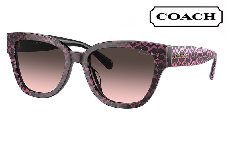 HC8379F 578346 57 コーチ COACH サングラス バタフライ セル フルフィットモデル|商品検索