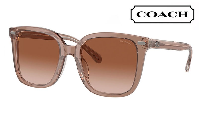 HC8381F 577913 56 コーチ COACH サングラス スクエア セル フルフィットモデル|商品検索