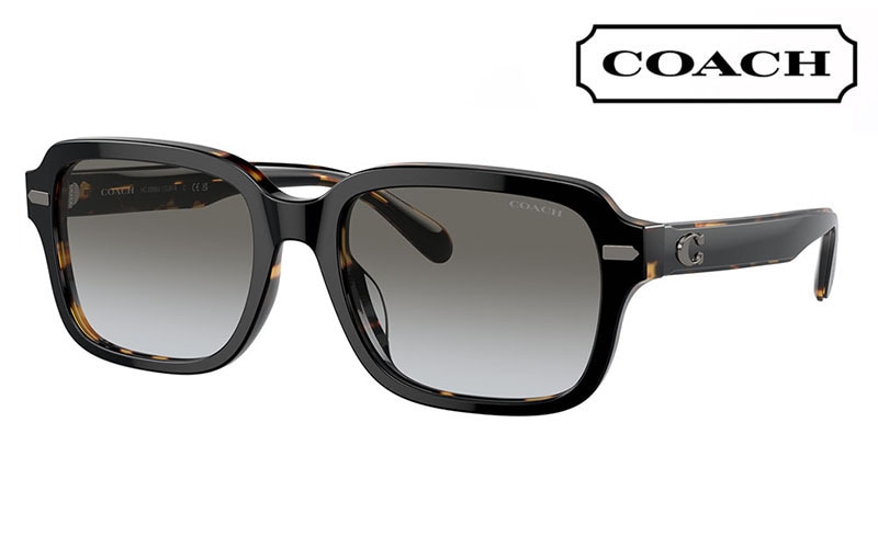 HC8388U 57993C 56 コーチ COACH サングラス スクエア セル ユニバーサルフィット メンズ |商品検索