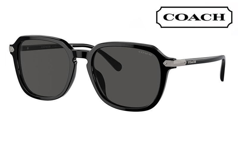 HC8383U 500287 55 コーチ COACH サングラス スクエア セル ユニバーサルフィット メンズ|商品検索