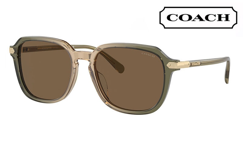 HC8383U 579773 55 コーチ COACH サングラス スクエア セル ユニバーサルフィット メンズ|商品検索